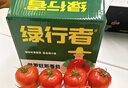 京鲜生绿行者山东特产零食樱桃番茄净重1.5kg 圣女果礼盒西红柿源头直发 实拍图