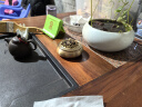 铜香炉黄铜熏香炉檀香家用室内沉香艾草艾灸焚香香薰炉蚊香盘托盒 【平底】铜香炉+实木底座 实拍图