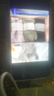 莫代尔内裤女夏天蕾丝女士三角裤欲性惑棉质裆情调性感女生新款女式短裤 森绿+灰蓝+黑色 XL(120-140斤) 实拍图
