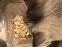 珑小宠猫零食冻干桶猫咪零食成猫冻干鸡胸肉鱼鸭肉猫粮宠物猫狗冻干零食 精装鸡肉粒 420g*1桶 实拍图
