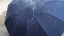 天堂伞加大号超大雨伞男女三人10骨黑胶防晒遮阳伞广告伞企业定制logo伞 【10骨3人大伞】紫色 实拍图