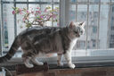 腾龙（Tamron）F051S 24mm F/2.8 Di III OSD M1:2微距 广角定焦 风光 建筑 扫街全画幅微单镜头(索尼全幅E口) 实拍图