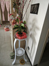九千谷双层花架子铁艺欧式绿萝吊兰花架室内阳台花盆置物架80cm白色4917 实拍图