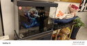 森森【包安装】鱼缸大型超白玻璃金鱼缸客厅落地水族箱免换水底滤鱼缸 1.0米35宽 超白底滤（三色可选）豪华水槽 实拍图