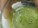 福茗源 槐花茶杨槐米茶国槐槐树豆槐白槐洋槐花杨槐树花蕊干菜干货90g 实拍图