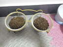 NUTRIENCE纽翠斯猫粮冻干进口黑钻系列红肉禽肉营养增肥发腮幼猫成猫粮 【咨询有惊喜】红肉猫粮11磅 实拍图