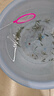 云峰海瑞黑壳虾清洁虾观赏虾 鱼缸水族箱水草缸清洁除藻淡水 【清洁大师】70只/组+50只损耗 实拍图