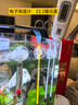 水族鱼缸温度计观赏鱼温度表挂钩热带鱼乌龟缸水温计 小黄棒+小白棒+小胖+挂钩【全福】 实拍图