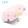天堂伞遮阳伞太阳伞黑胶防晒伞防紫外线晴雨伞两用女士超轻便携UPF50+ 一帘花梦-3折-奶酪色 实拍图