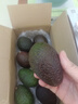 鲜青录秘鲁进口牛油果鳄梨奶油酷热带新鲜宝宝孕妇水果 1040g划算8个中大果 单果130-160g 实拍图