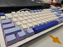 雷神（ThundeRobot） K87机械键盘87键电竞游戏热插拔PBT办公键盘套装 K87蓝莓-红轴-热插拔-PBT键帽 实拍图