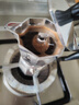 比乐蒂（Bialetti）【百年品牌】摩卡壶 经典意式手冲咖啡壶家用浓缩手动咖啡机礼物 经典1杯份 40ml 实拍图