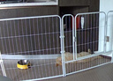 腆宠狗围栏狗栅栏室内宠物围栏狗笼子大型犬中型犬小型犬狗窝猫咪护栏 实拍图