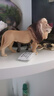 思乐（Schleich S）仿真动物模型 老虎狮子狼豹白虎猞猁男女孩儿童玩具生日礼物3+ 狮子14812 实拍图
