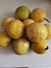 黄金钦蜜九号百香果 甜口 皱皮更甜不影响食用发货带青色 黄金百香果20个（中大果70~90g） 黄金钦蜜九号百香果 实拍图