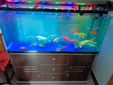 松宝中大鱼缸客厅家用落地懒人生态免换水带柜子一体自循环金鱼水族箱 100CM鱼缸(含显示屏)+木柜 实拍图