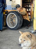 普利司通（Bridgestone）汽车轮胎 225/45R18 91V T005 原配名爵/适配杰德/索纳塔/宝马3系 实拍图