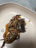 陆龙3A白玉蟹 佐餐佳品 即食醉蟹螃蜞蟹朋友蟹 宁波特产舟山海鲜水产 [冷藏]3A白玉蟹300g*2瓶 实拍图