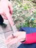 磁力宝 环形磁铁 黑色强力吸铁石 铁氧体大号 圆形带孔强磁  高强度普磁 磁石喇叭磁铁 直径80mm*厚20mm/孔40mm（2个） 实拍图