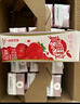 蒙牛真果粒牛奶饮品多口味可选 送礼佳品 新老装随机发 部分3月产 真果粒草莓果粒250g×12盒 实拍图