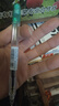 派通（Pentel）PD105T侧按式自动铅笔 0.5mm小学生一二年级书写活动铅笔尾带橡皮日本文具 绿色单支装 实拍图