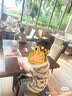 戴维贝拉男童五分裤套装洋气夏儿童T恤牛仔裤两件套宝宝衣服 实拍图