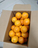 天乐优选麻阳冰糖橙新鲜橙子水果当季整箱果冻甜橙手剥橙子爆汁应季时令 带箱5斤单果70-75mm净重4.5斤 实拍图