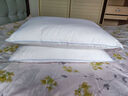 梦洁家纺 芯享全棉抗菌防螨对枕成人颈椎枕芯枕头PLUS（高）  50*70cm 1对 实拍图