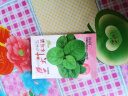 木耳菜种子厚肉大叶落葵籽豆腐菜阳台四季盆栽抗病高产蔬菜菜 大叶木耳菜种子 1包约120粒 实拍图