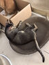 华元宠具（hoopet）猫抓板窝耐磨不掉屑猫爪板磨爪耐抓圆形猫爪盆保护沙发防猫抓大号 椭圆特大号猫抓板 实拍图