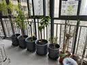 拜杰不锈钢冰铲 粮食铲干果铲米铲面粉茶叶糖瓜子爆米花家用食品铲 实拍图