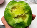 农果传橙东北绿宝甜瓜 绿宝石香瓜当季时令甜脆瓜孕妇水果可选礼盒送礼 10斤装【不含礼盒 净重9斤】 实拍图