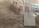 芬腾可安（FENTENGCARE）大胸显小收副乳防下垂胸罩薄款透气调整型女内衣聚拢无钢圈文胸 实拍图