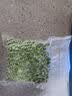 康佳真空封口机干湿两用全自动大功率不挑袋家用野餐露营大吸力自动抽真空机食品保鲜零食包装冷冻 【升级款象牙白】大号50+小号50 实拍图