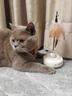 欢宠网智能猫玩具猫咪自动逗猫棒电动激光自嗨解闷神器猫猫小猫幼猫宠物 实拍图