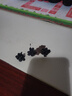 精致小号迷你植绒抓夹磨砂抓发夹公主头发卡顶夹刘海夹鲨鱼夹头饰 【随机款式】3个装 实拍图