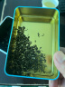 贵名贵州都匀毛尖2025新茶特级茶叶浓香型明前高山云雾绿茶罐装500g 一大罐共250g 实拍图