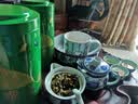 大明山 绿茶茶叶 中国广西农垦茗茶 一级碧螺春绿茶250克1罐 实拍图