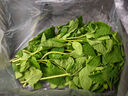 绿食者 新鲜薄荷叶 Mojito调酒茶饮泡水装饰可食用薄荷叶香料蔬菜 100g 实拍图