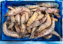 东方甄选泰国活冻黑虎虾斑节对虾大虾冻虾速冻生鲜海鲜水产虾老虎虾送礼 1kg(净重)  *1盒（21-30只/盒) 实拍图