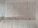 斗半匠 三年级下册字帖 三年级语文同步练字帖 小学生练字帖每日一练 写好中国字 硬笔钢笔字帖生字笔画笔顺练习 实拍图