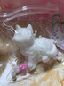 煦琪捏捏乐解压玩具减压飞雪仙喵立体猫流体可爱女生日礼物送闺蜜女友 实拍图