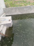 海利增氧泵氧气泵增氧机鱼池大功率养殖烤鸭充氧泵海鲜鱼塘水产卖鱼养 25W+6头出气+12米气管+6个气泡石 实拍图