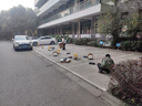 智汇车位地锁车位锁智能遥控停车桩自动感应车位防占用神器车库停车位 【智能遥控款】升级大电机 免打孔自动识别车牌汽车地锁 实拍图