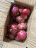 中鲜生 云南紫皮洋葱现挖红皮洋葱新鲜蔬菜生鲜当季新鲜洋葱 5斤装【普通装】 实拍图