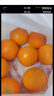 【热销】湖北秭归脐橙鲜果上市 带箱5斤60-65mm 实拍图