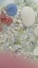 曦凰天然贝壳海螺壳海星珊瑚石儿童玩具装饰摆件DIY卷贝鱼寄居蟹 套餐四:斤大海螺贝壳 实拍图