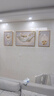 诗六艺家饰客厅装饰画北欧现代简约沙发背景墙挂画三联画大气轻奢壁画晶瓷画 羽鹿生辉（铝合金外框） 晶瓷画左右35*50+中间70*50亮面 实拍图