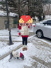 莫代尔女士腿套针织女款春季袜套雪地靴堆堆袜春季袜子 实拍图