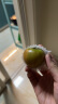 京地达栗贝诺山东铁皮草莓西红柿绿腚碱地番茄净重3斤 蔬菜源头直发包邮 实拍图